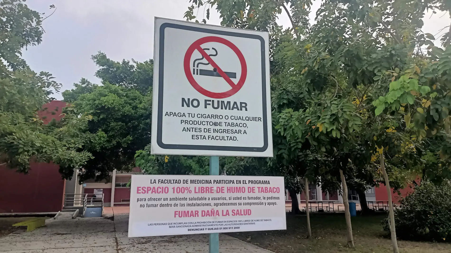 Muerte y hasta envejecimiento prematuro: llaman a reflexionar sobre los efectos del tabaco